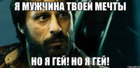 я мужчина твоей мечты но я гей! но я гей!