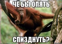 Чё бы опять спизднуть?