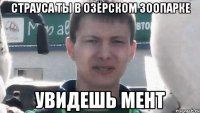 Страуса ты в озёрском зоопарке увидешь мент