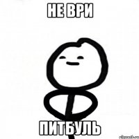 НЕ ВРИ ПИТБУЛЬ