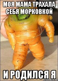 моя мама трахала себя морковкой и родился я