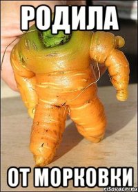родила от морковки