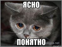 ясно понятно