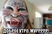  доброе утро, муррррр!