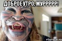 доброе утро, муррррр! 