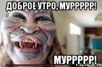 доброе утро, муррррр! ________муррррр!