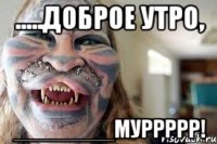 .....доброе утро, ________муррррр!