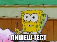  пишеш тест