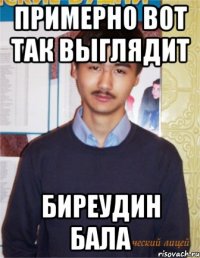 примерно вот так выглядит биреудин бала