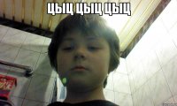 Цыц цыц цыц 