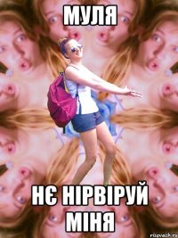 муля нє нірвіруй міня