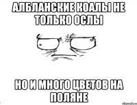 Албланские коалы не только ослы Но и много цветов на поляне