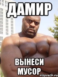 Дамир Вынеси мусор