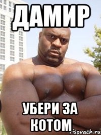 Дамир Убери за котом