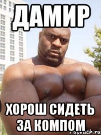 Дамир Хорош сидеть за компом