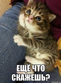  Ещё что скажешь?