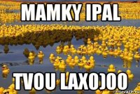 mamky ipal tvou lax0)00