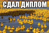 Сдал диплом 