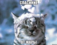 спасиние от жары