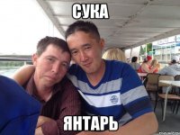 сука янтарь