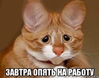  Завтра опять на работу