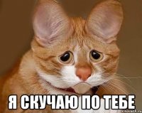 Я скучаю по тебе