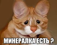  минералка есть ?