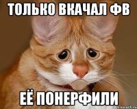 только вкачал ФВ её понерфили