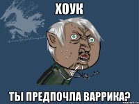 ХОУК ТЫ ПРЕДПОЧЛА ВАРРИКА?