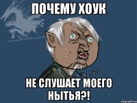 почему хоук не слушает моего нытья?!