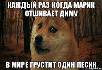 Каждый раз когда марик отшивает диму В мире грустит один песик