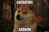 сигночку запили
