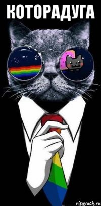 Которадуга 