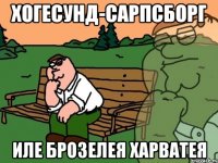 хогесунд-сарпсборг иле брозелея харватея