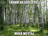 таким казался лес моей мечты