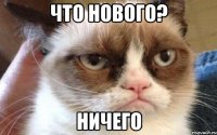 Что нового? Ничего