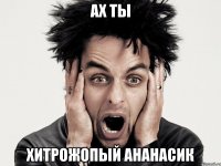 Ах ты Хитрожопый ананасик