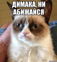 Димака, ни абижайся 
