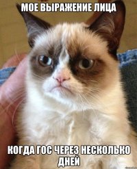 Мое выражение лица когда ГОС через несколько дней
