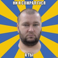 Ни я сожрал гуся а ты
