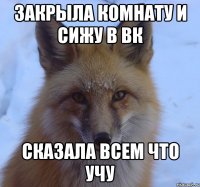 закрыла комнату и сижу в вк сказала всем что учу