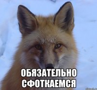  обязательно сфоткаемся