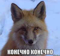  Конечно конечно