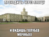 Проходишь через площу и видишь голубев мочных)