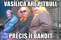 Vasîlică are pitbull Precis îi bandit