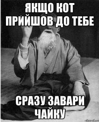 Якщо Кот прийшов до Тебе сразу завари чайку