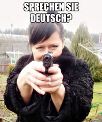 Sprechen Sie Deutsch? 