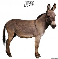 Да? 