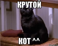 Крутой кот ^^