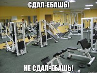 сдал-ебашь! не сдал-ебашь!